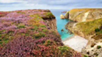 Cap Fréhel in der Bretagne, Frankreich