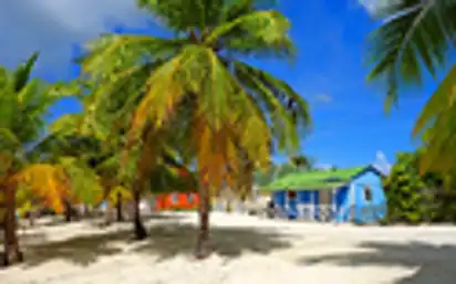 bunte Häuser auf der tropischen Insel Barbados