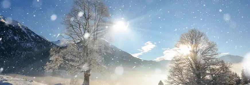 Winterliche Landschaft im Salzburger Land