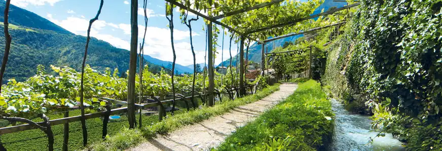 entlang der Waalwege durch Südtirol