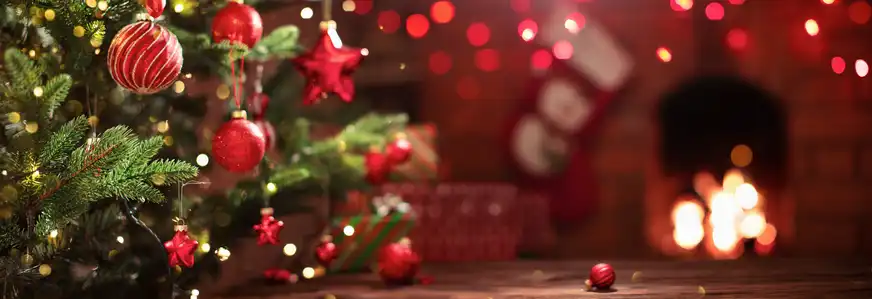 Wir wünschen Ihnen Frohe Weihnachten