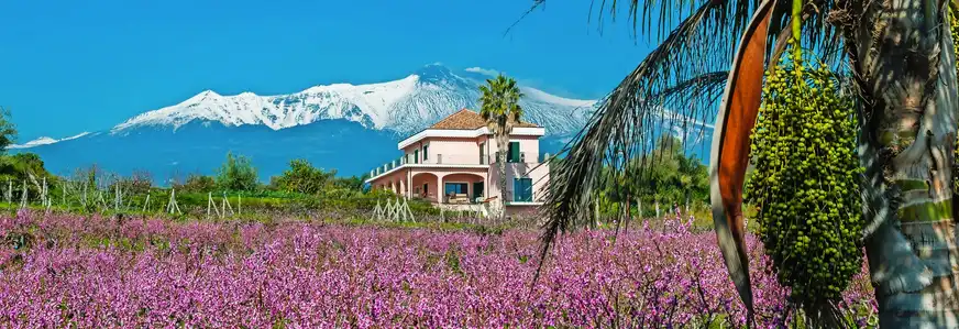 Blüte am Fuße des schneebedeckten Ätna, Sizilien, Italien