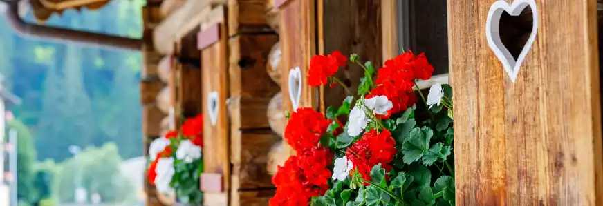 Typische Holzläden mit Blumenkästen