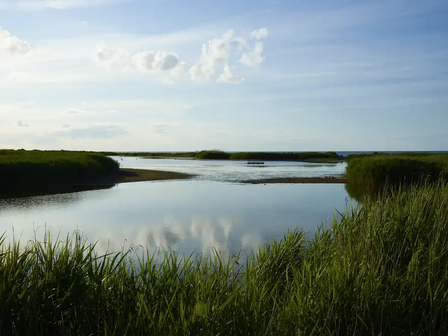 Naturschutzgebiet Strandseenlandschaft Schmoel an der Ostsee in Schleswig-Holstein, Deutschland