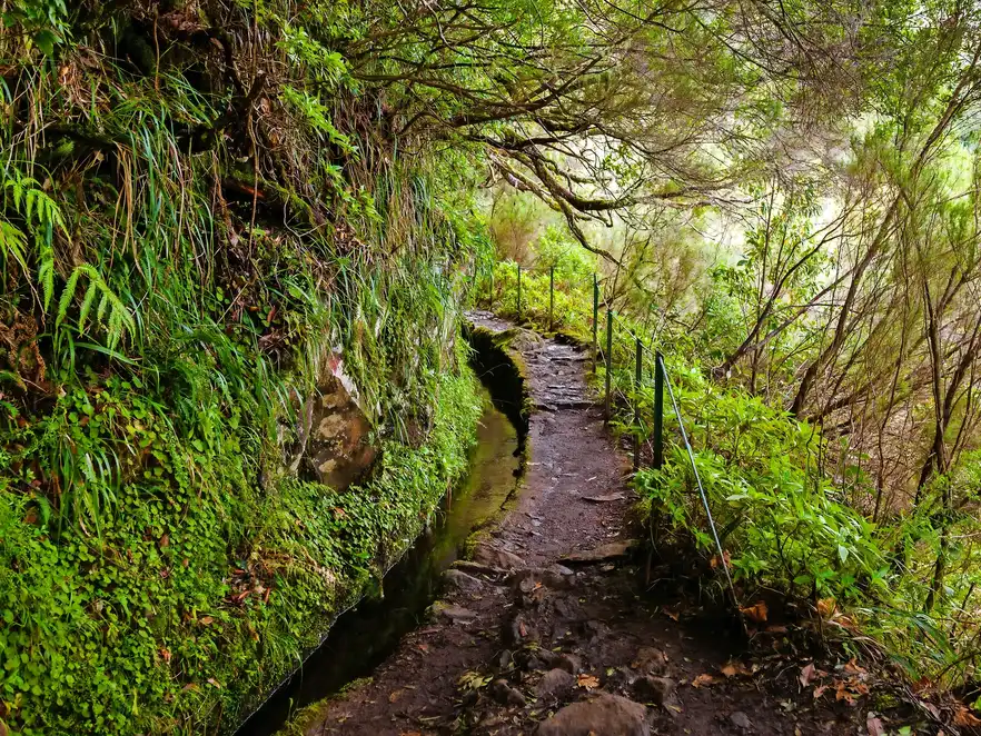 Wanderweg in der Levada Caldeirao Verde