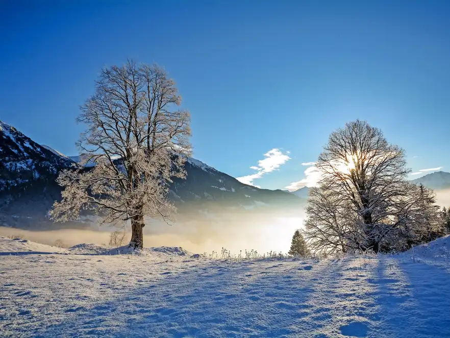 winterliche Steiermark