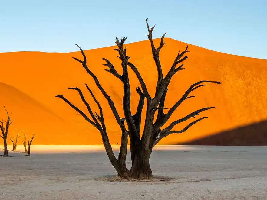 Deadvlei, Sossusvlei, Namib-Naukluft National Park, Namibia.