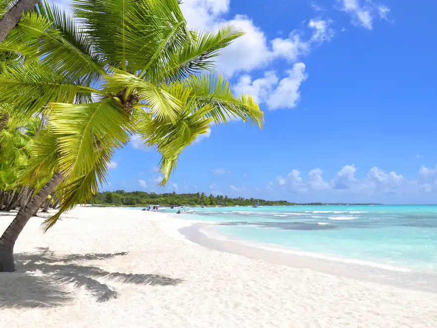 Tropischer Palmenstrand in der Karibik