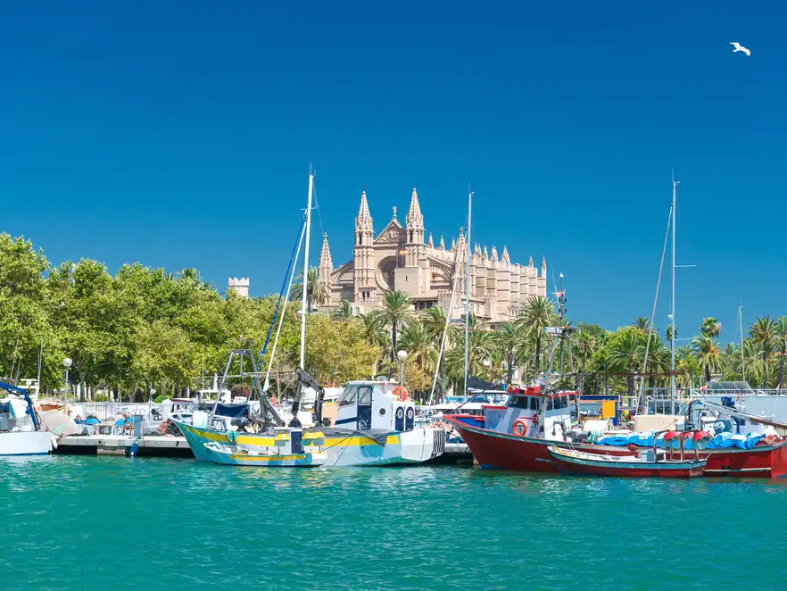 Blick auf Palma de Mallorca mit der Kathedrale La Seu und dem Fischerhafen 