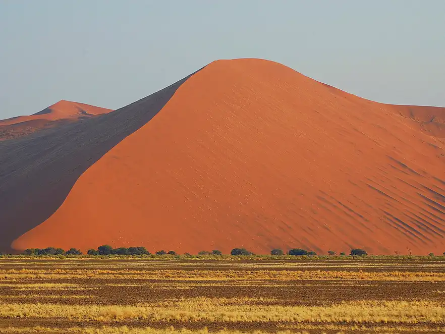 Die Wanderdünen der Namib-Wüste zählen zu den höchsten Sanddünen der Welt