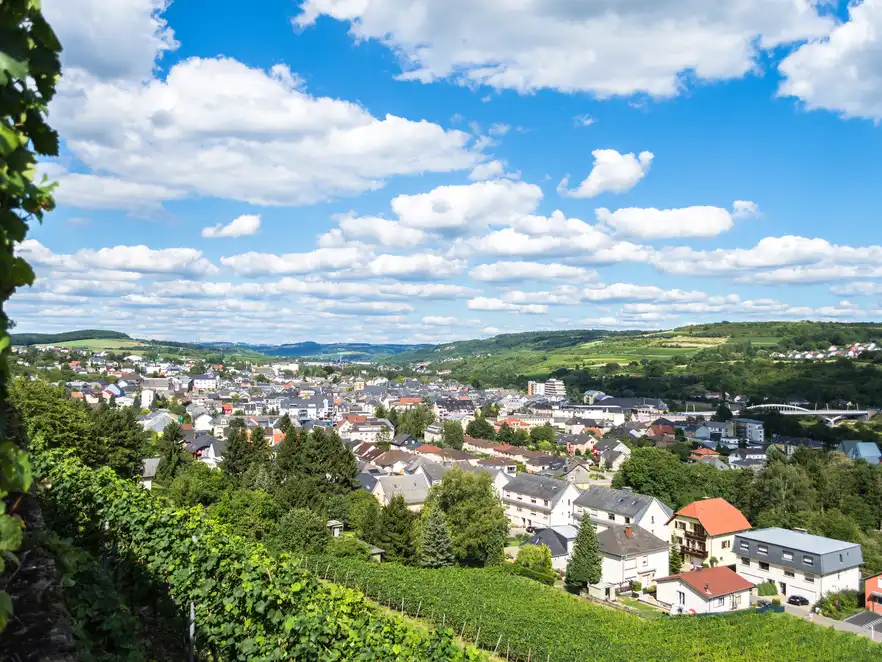 Moselweinstraße