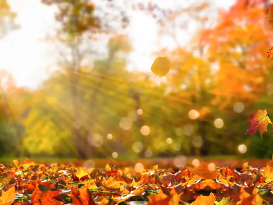 idyllische Herbstlandschaft