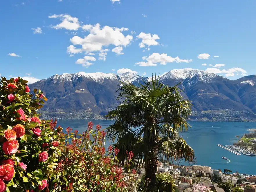 Aussicht von Orselina auf den Lago Maggiore
