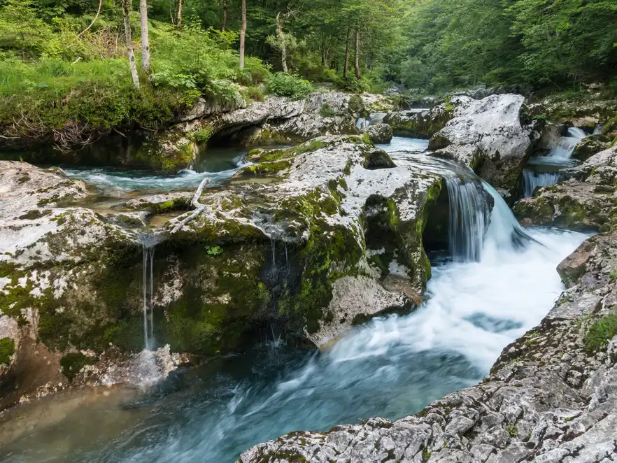 Entlang des Mostnica Flusses durch die Wälder Sloweniens.
