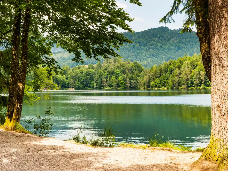Genießen Sie die wunderschöne Landschaft am Hechtsee.
