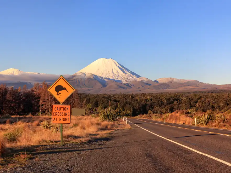 Kiwi-Verkehrsschild und Vulkan Ngauruhoe im Tongariro-Nationalpark