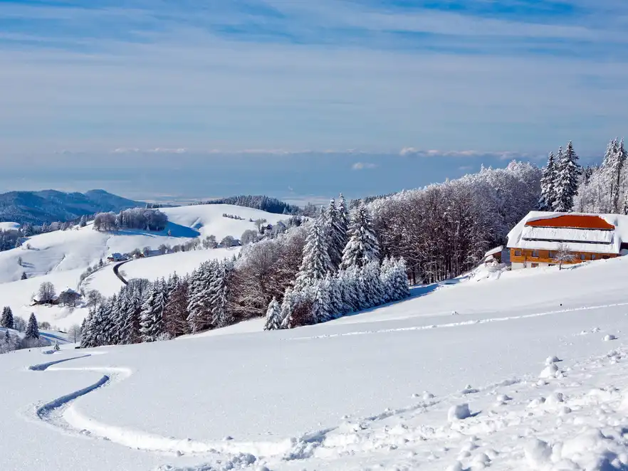 winterlicher Schwarzwald