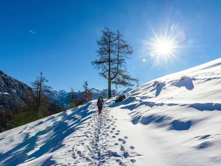 Dolomiten, Alpen, Trentino-Südtirol, Val di Fiemme