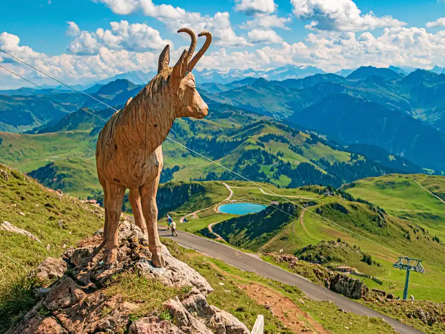 Wunderschöner Blick auf das Kitzbüheler Horn, Kitzbühel