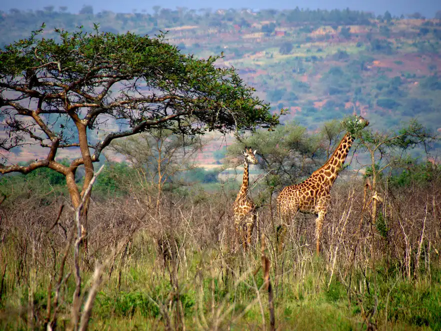 Ruanda