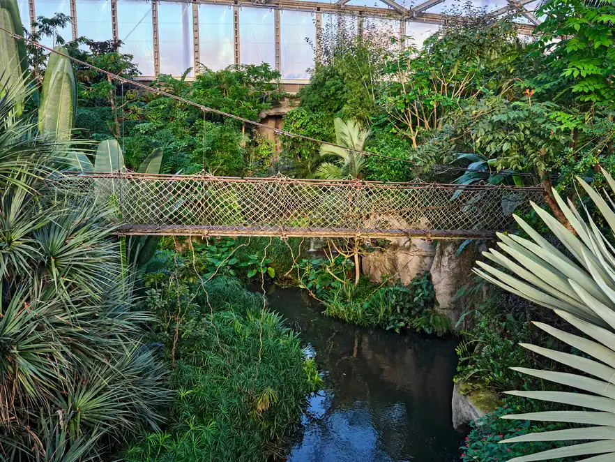 TropenWelt " Gondwanaland " im Zoo Leipzig.
