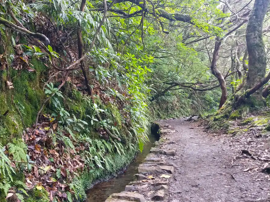 Levadawanderweg, Madeira
