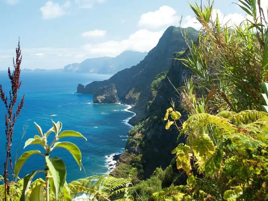 nord-östliche Küste nahe Santana, Madeira, Portugal