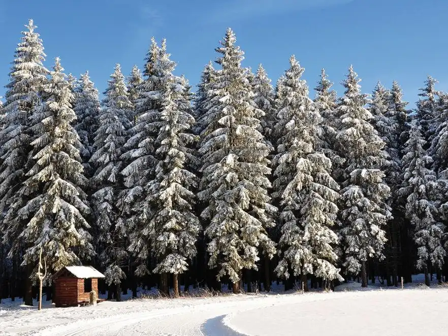 Unterwegs am Rennsteig