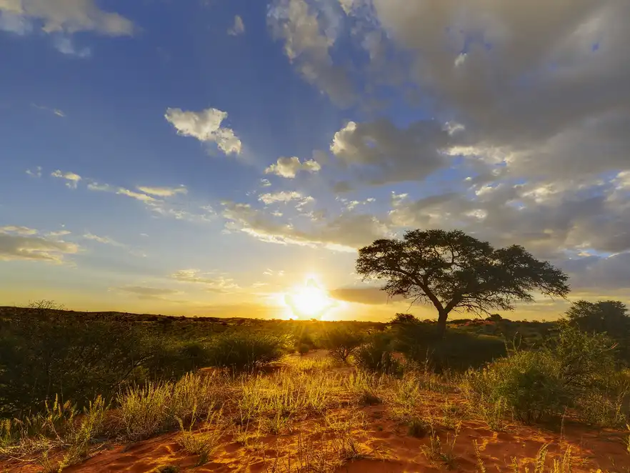 Afrikanische Landschaft