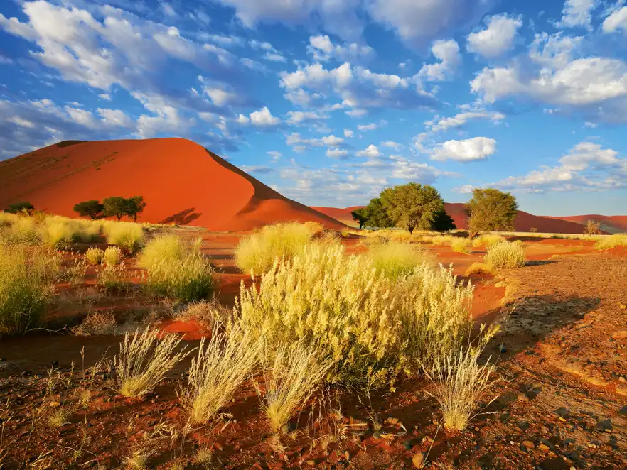 Sossusvlei-Düne in der Namib-Wüste, Namibia