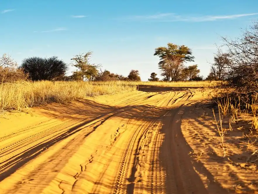 Kalahari-Wüste,Botswana,Afrika