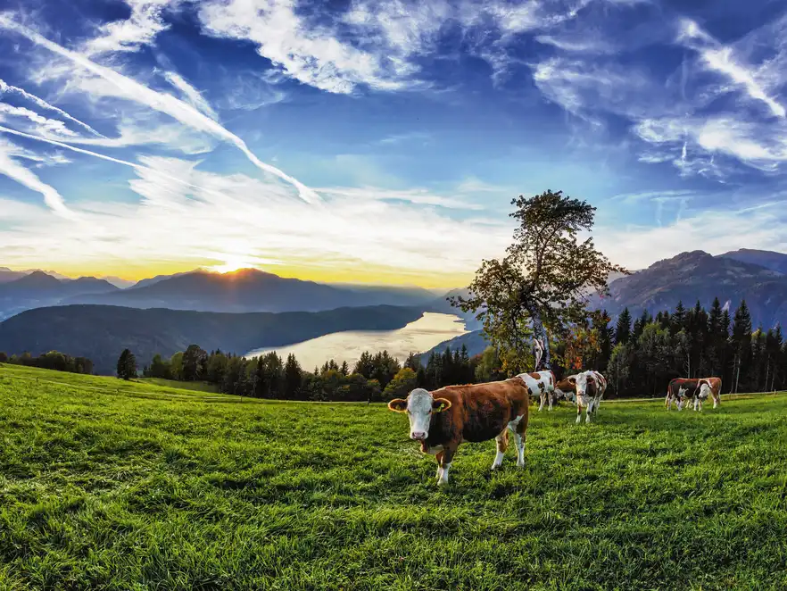Herrliche Kärntner Seen