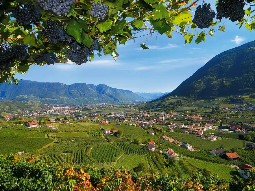 Blick auf Algund 