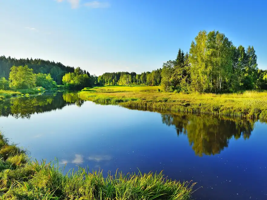 Brasla Fluss in Gauja Nationalpark, Lettland