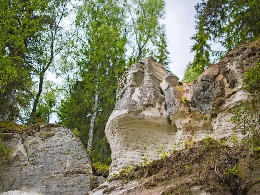 Sandsteinfelsen im Nationalpark Gauja, Lettland