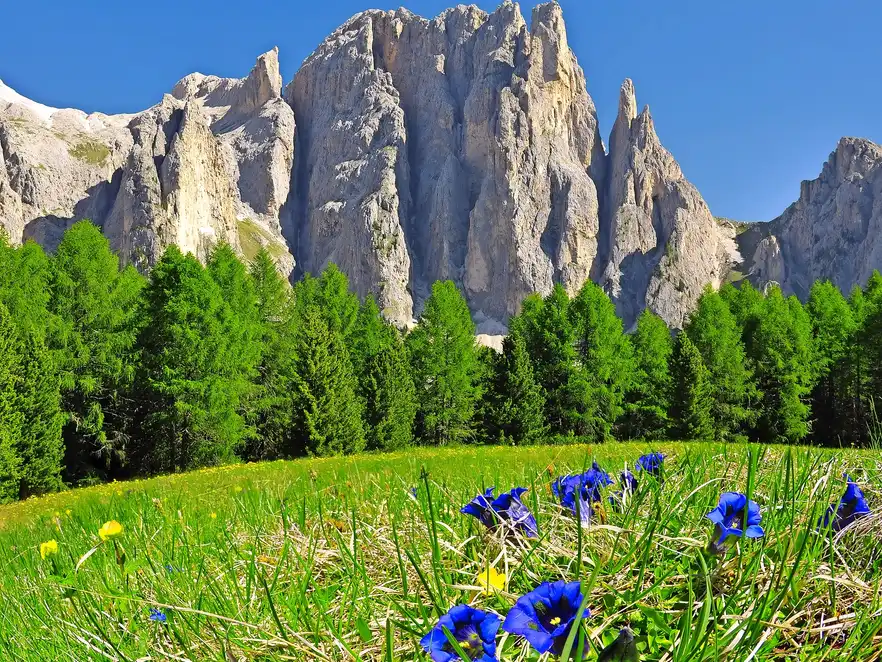 Dolomitengipfel, Rosengarten, Val di Fassa, Italien Alpen