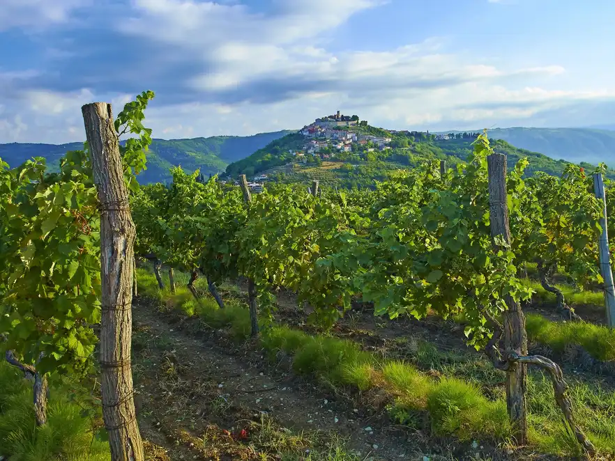 Motovun Stadt, Istrien