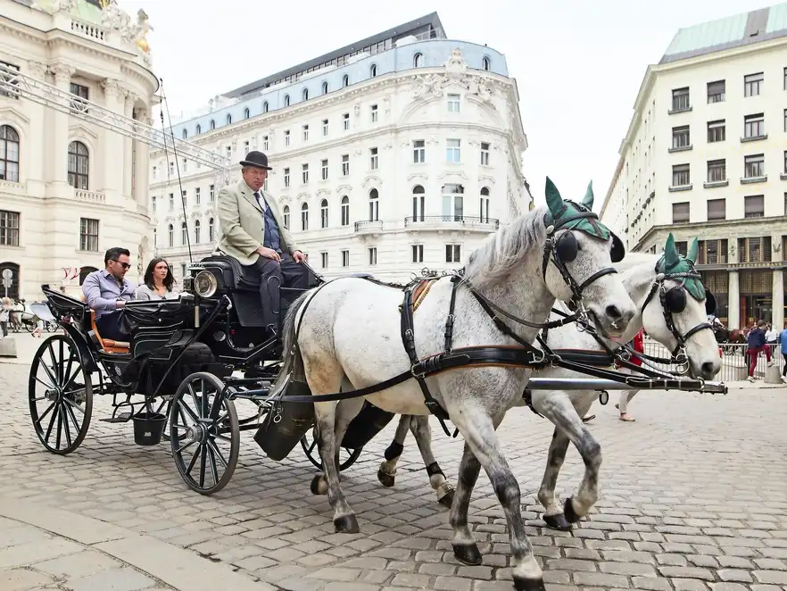 Fiasker durch die Wiener Innenstadt